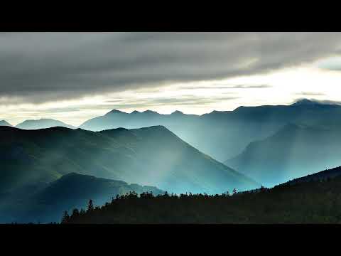 Session du Conseil départemental des Pyrénées-Atlantiques du 10 Février 2023