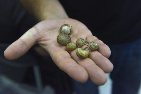 Sciences participatives au collège Pierre Emmanuel - Pau