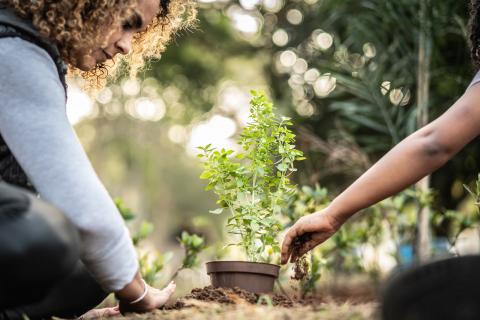Protéger notre environnement et soutenir notre agriculture