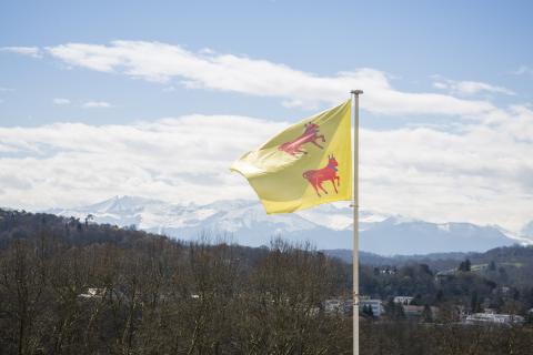 Drapeau béarnais occitan