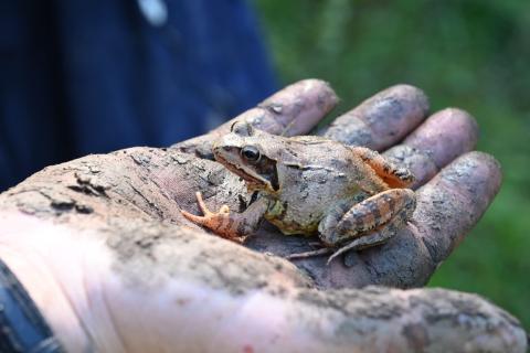 Ateliers ENS Habas Bayonne