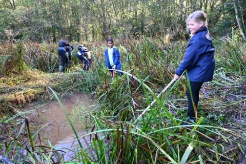Ateliers ENS Habas Bayonne