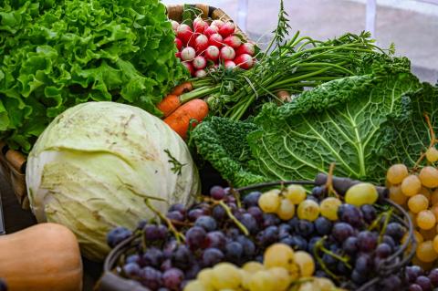 Une nouvelle reconnaissance  pour le Projet Alimentaire Territorial du Département