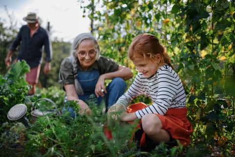 Un jardin intergénérationnel partagé
