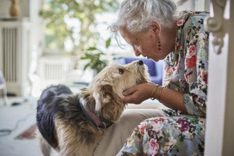Accueil d’animaux en Ehpad