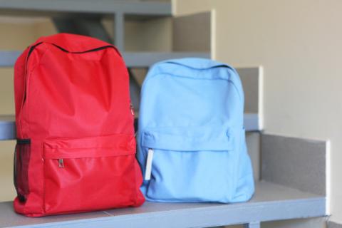 Les dispositifs au sein des écoles pour les enfants atteints de handicap