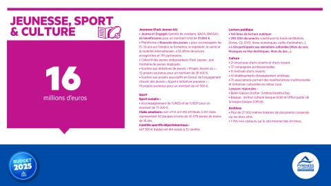 Budget 2025 sports et culture