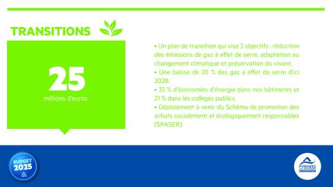 Budget 2025 Transitions
