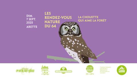 Rdv Nature 64 : La chouette qui aime la forêt