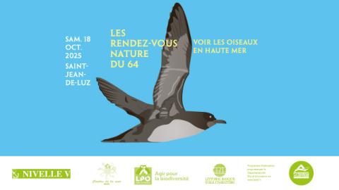 Rdv Nature 64 : Voir les oiseaux en haute mer