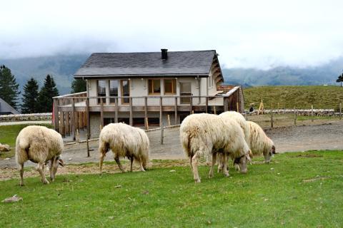 Arrière de la maison du col du Soulor