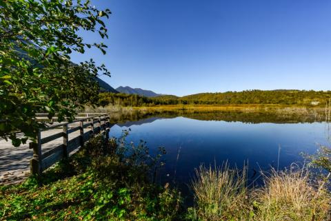 La tourbière de l'Auga